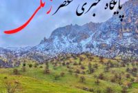استانداری فارس اعلام کردافغانی ها تا ۱۵تیر ماه فرصت دارند خاک استان فارس را ترک کنند استانداری فارس اعلام کردافغانی ها تا ۱۵تیر ماه فرصت دارند خاک استان فارس را ترک کنند