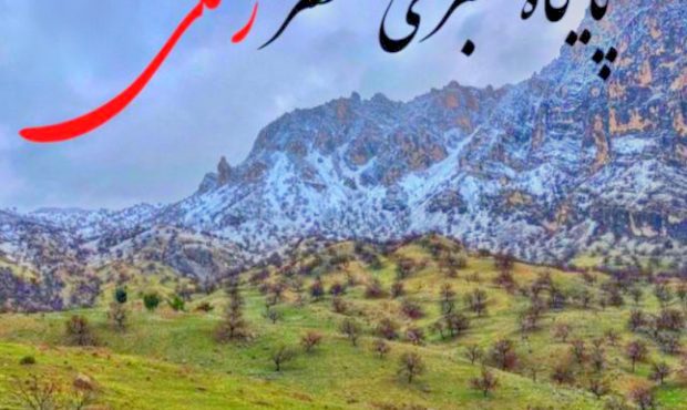 استانداری فارس اعلام کردافغانی ها تا ۱۵تیر ماه فرصت دارند خاک استان فارس را ترک کنند استانداری فارس اعلام کردافغانی ها تا ۱۵تیر ماه فرصت دارند خاک استان فارس را ترک کنند