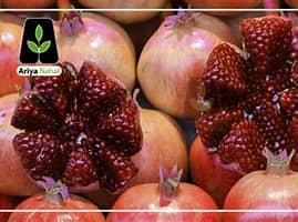 میوه بهشتی و خواص آن میوه بهشتی و خواص آن