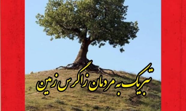 گفتوگوی تلخ و امیدبخش با بلوطهای کوه حاتم؛ روایت درختی که پدر و مادر قوم لر بود گفتوگوی تلخ و امیدبخش با بلوطهای کوه حاتم؛ روایت درختی که پدر و مادر قوم لر بود