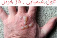 از خاکریزهای خون تا میزهای قدرت؛ شهدا چه می‌پرسند؟